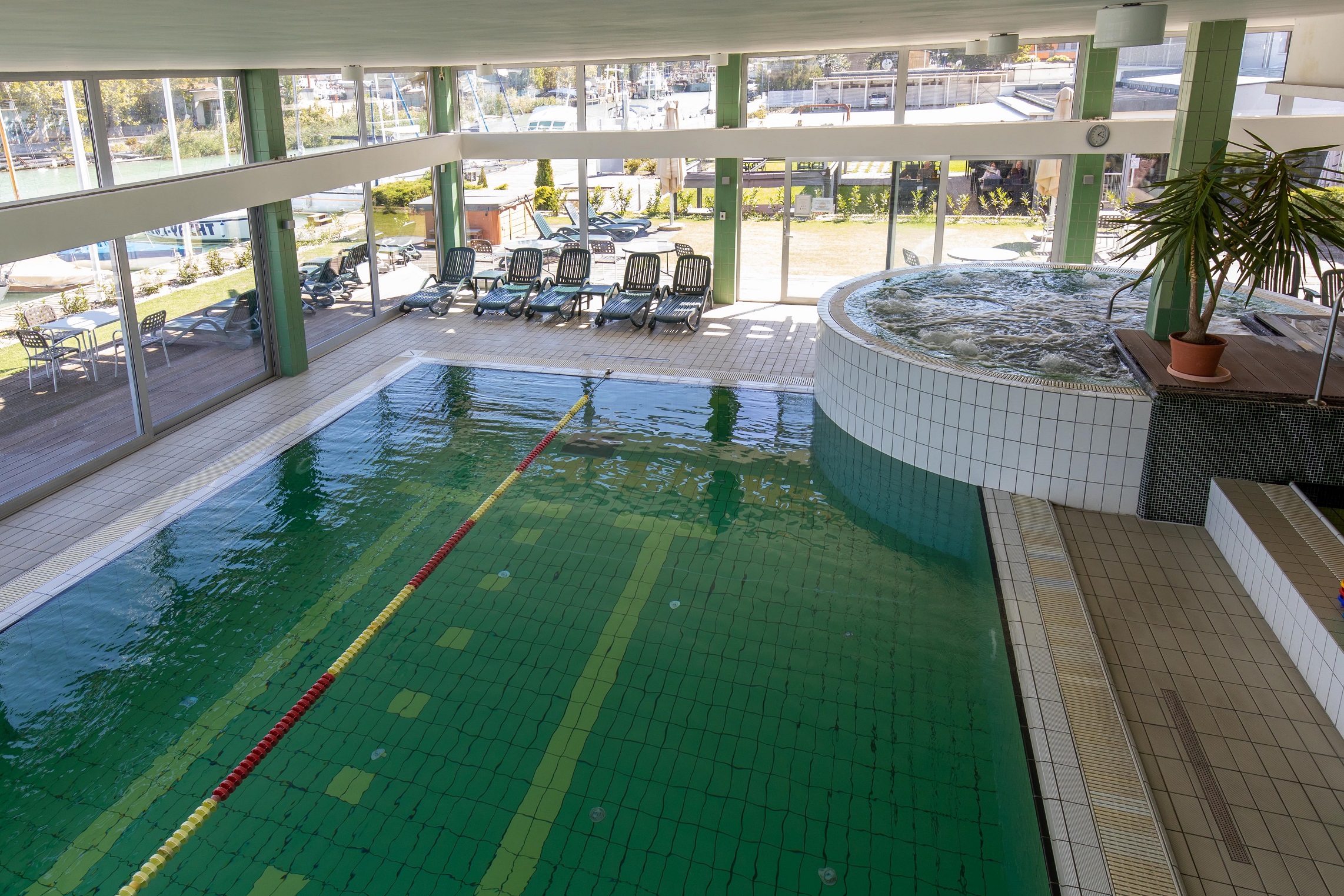 wellness